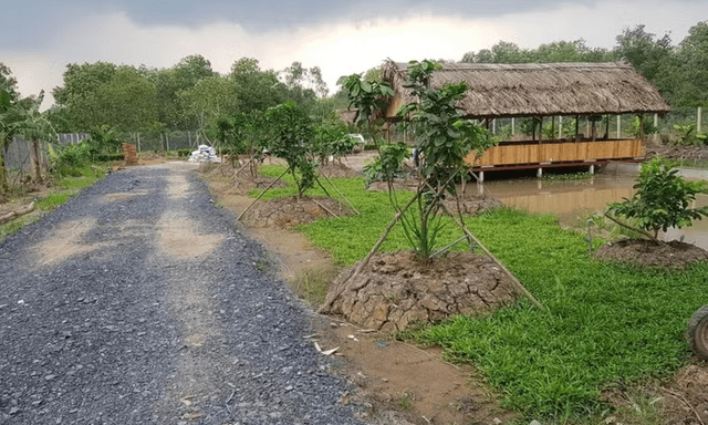 Đất không có nguồn gốc vườn, ao có được giảm tiền sử dụng đất?