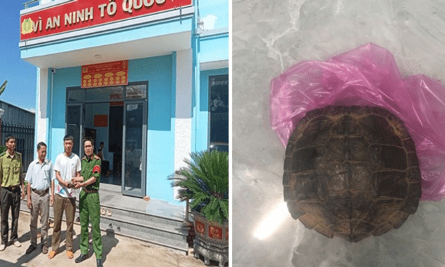 Tin tức thời sự 24h: Phát hiện con vật quý nặng 1,3kg, người dân nộp công an