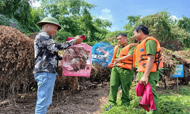 Tin tức thời sự 24h: Thả 35 con chim hoang dã về môi trường tự nhiên ở Hải Phòng