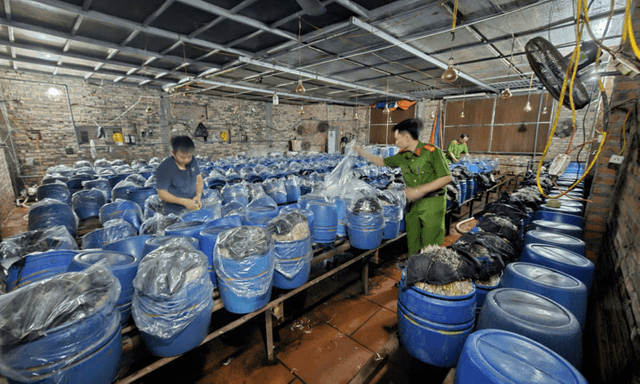 Khởi tố 3 chủ cơ sở dùng 