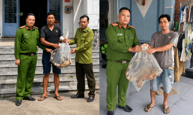 2 con rồng Nam Mỹ vừa được người dân giao nộp ở An Giang quý hiếm cỡ nào?