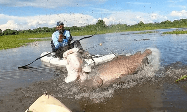 Ngồi thuyền kayak câu cá, người đàn ông sững sờ chạm trán 