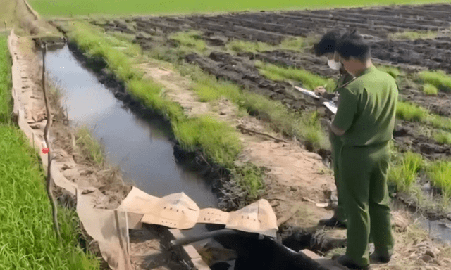 Giăng điện bẫy chuột ở ruộng lúa, người đàn ông nghi bị điện giật tử vong tại Đồng Tháp