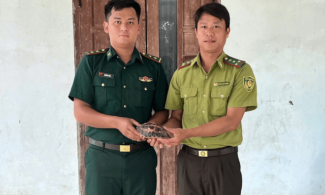 Phát hiện con vật nặng chưa đầy 1kg, có hoa văn 