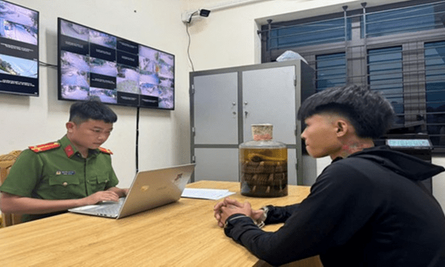 Kiểm tra thùng xốp trên xe máy của thanh niên trẻ, phát hiện rắn hổ mang quý hiếm