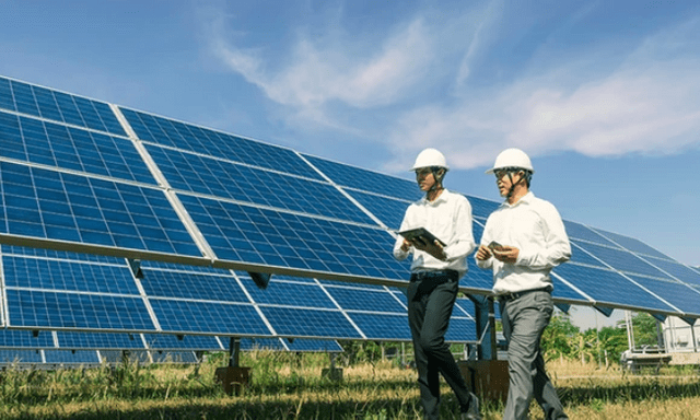 Công ty cổ phần Đầu tư Rox Energy bị phạt vì lý do gì?