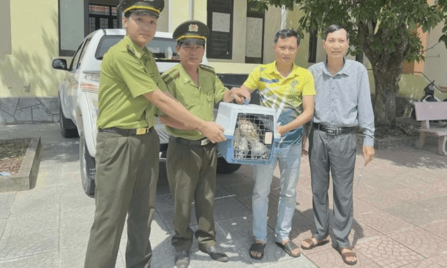 2 con chim ưng Ấn Độ quý hiếm 