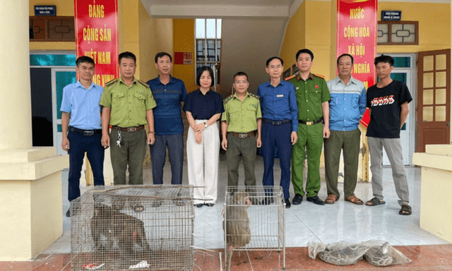 Tin tức thời sự 24h: Người dân Hải Phòng giao nộp nhiều động vật quý hiếm