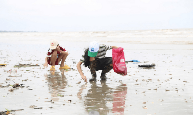 Cảnh nhộn nhịp tại biển Trà Cổ, người dân mang xô chậu gom 
