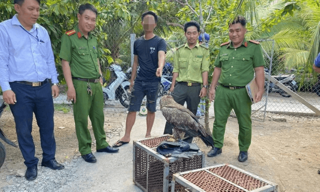 Tin pháp luật nổi bật 24h qua: Nuôi 6 con đại bàng, diều hâu, nam thanh niên bị phạt 7,5 triệu đồng 