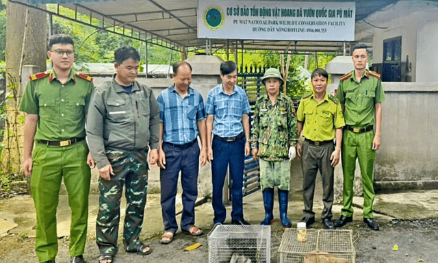 Tin tức thời sự 24h: Hai cá thể khỉ quý được người dân giao nộp