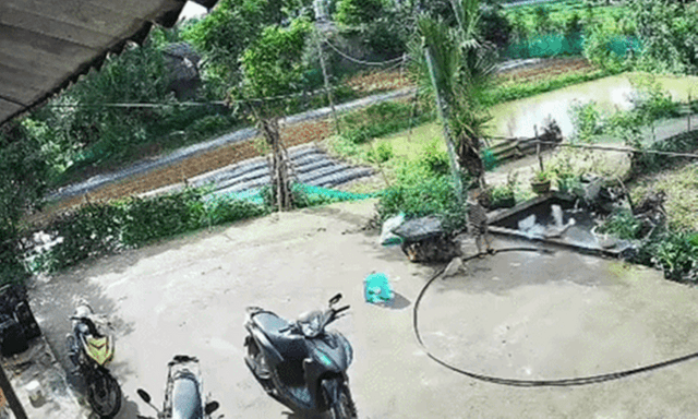 Thót tim cảnh bé gái 2 tuổi lọt xuống bể cá và phản xạ xuất thần của người anh 4 tuổi