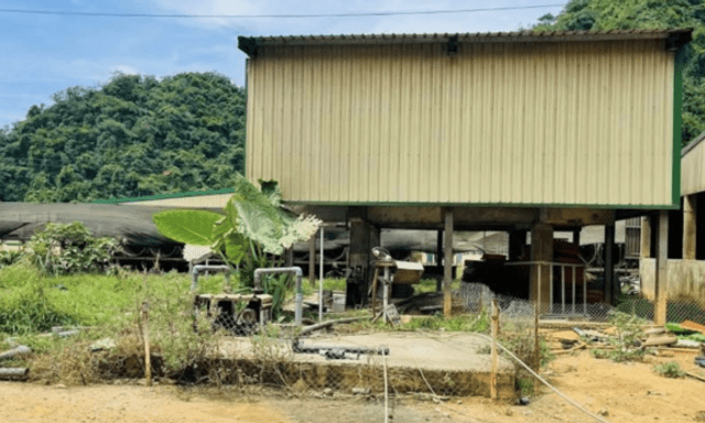 Khí H2S trong hầm biogas: Cảnh giác với 