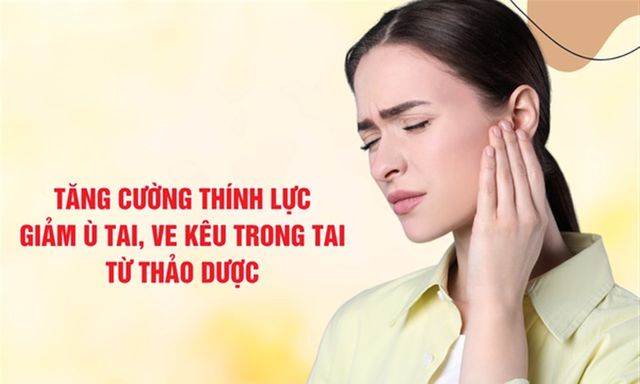 Giải pháp tăng cường thính lực, giảm ù tai, ve kêu trong tai từ thảo dược