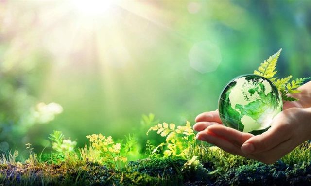 Sản xuất giấy công suất trung bình có phải xin giấy phép môi trường hay không?