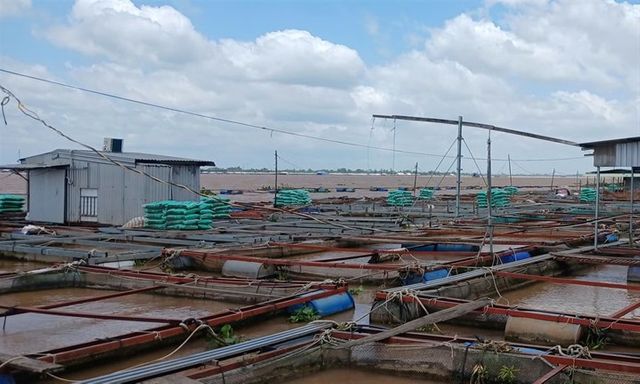 Hai cha con bị điện giật, cùng rơi xuống sông tử vong thương tâm