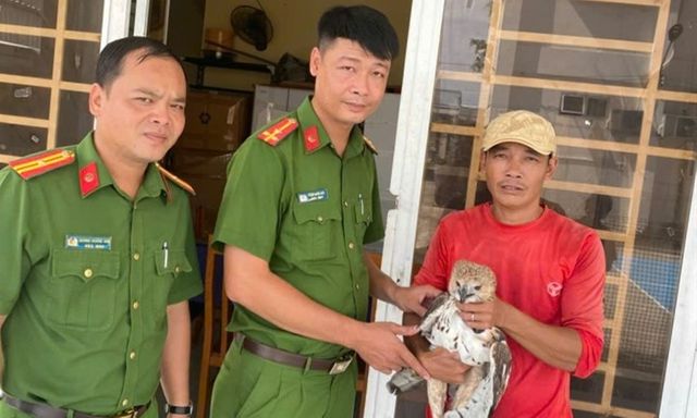 Người đàn ông ở An Giang mang chim quý, nặng 2kg đến công an giao nộp