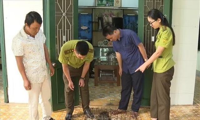 Phát hiện con vật 