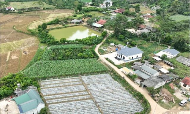 Công ty nhận vốn góp bằng đất nông nghiệp cần làm thủ tục gì?