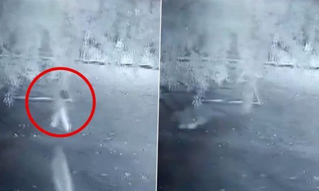 Bé gái 6 tuổi ở Ấn Độ tử vong sau khi bị báo hoa mai tấn công: Camera ghi lại cảnh đau lòng