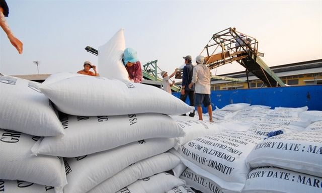 Điều kiện về kinh doanh xuất khẩu gạo