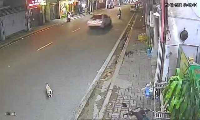 Bắt tài xế Mercedes vì tông 2 chị em ở Vũng Tàu rồi bỏ trốn