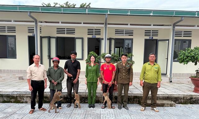 4 cá thể khỉ 