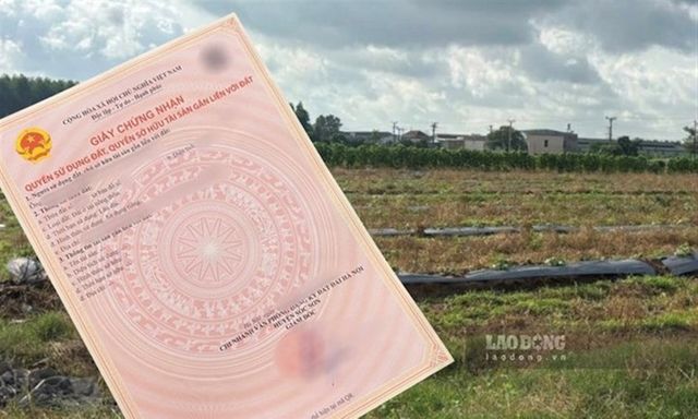 Tính lại tiền sử dụng đất khi xác định sai diện tích trong hạn mức như thế nào?