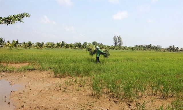 Đơn giá cho thuê nhà, đất có bao gồm các khoản thuế?