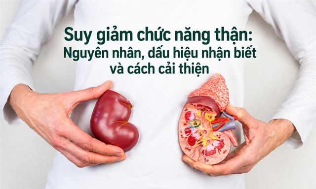 Suy giảm chức năng thận: Nguyên nhân, dấu hiệu nhận biết và cách cải thiện