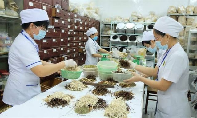 Nghiên cứu, xây dựng Luật Y học cổ truyền, phấn đấu trình Quốc hội vào cuối năm 2028