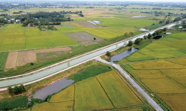 Bộ Nông nghiệp và Môi trường trả lời về mức xử phạt hành vi sử dụng đất sai mục đích