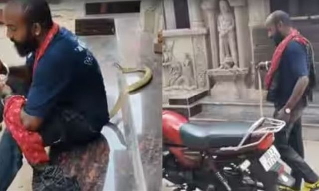 Liều lĩnh quay video và chụp ảnh với con rắn hổ mang trước hiên nhà, thanh niên 28 tuổi ở Ấn Độ bị cắn thiệt mạng