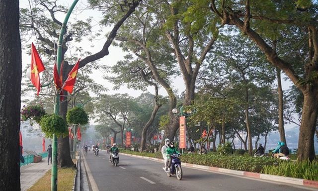 Hà Nội công bố 18 loài cây cấm trồng nơi công cộng, có trứng cá, dâu da