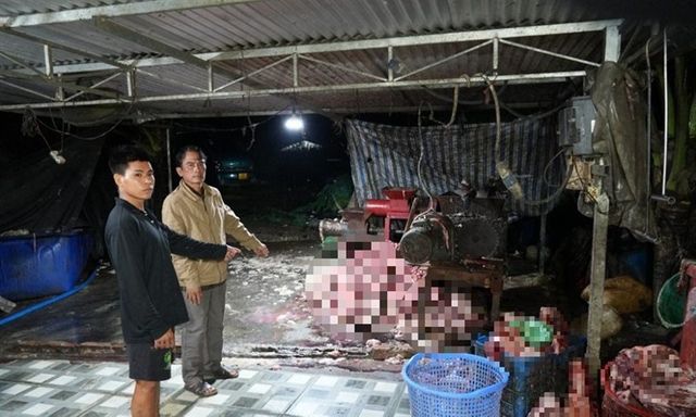Triệt phá đường dây tuồn 400 tấn heo bệnh, heo chết ra thị trường, thu lợi bất chính hơn 10 tỷ đồng