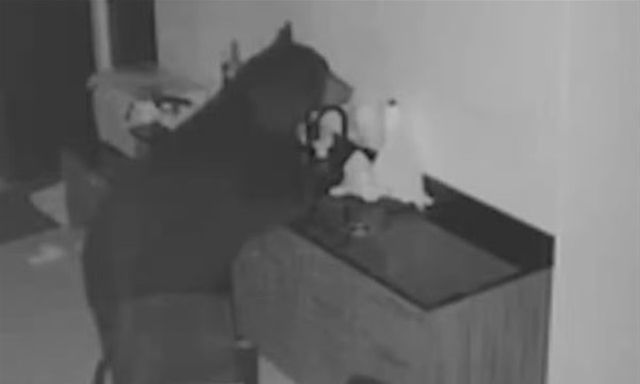 Phát hiện dấu chân lớn trong bếp, cặp vợ chồng kiểm tra camera an ninh thấy cảnh gây sốc