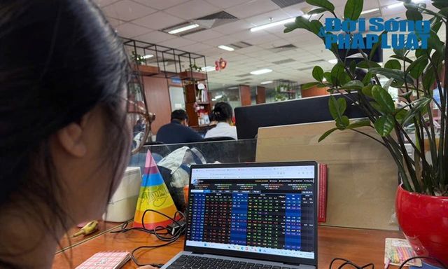Vì sao Công ty cổ phần Tandoland bị xử phạt?