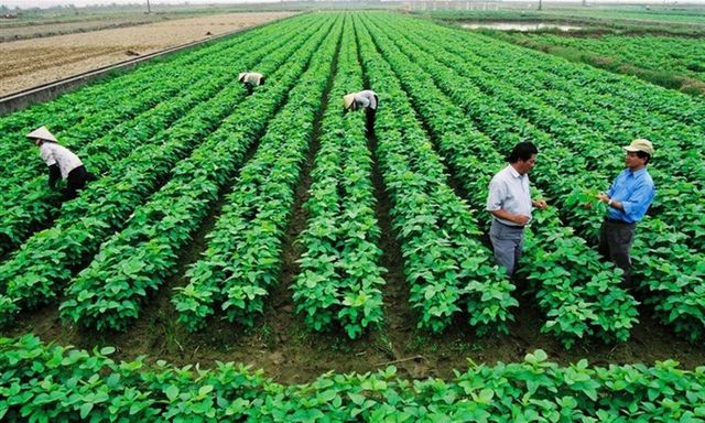 Điều kiện hưởng mức thu tiền sử dụng đất ưu đãi