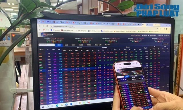 Lý do Công ty cổ phần IMG Phước Đông bị xử phạt 