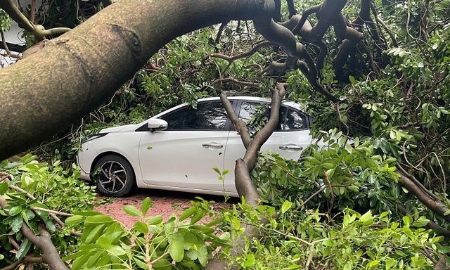 Ô tô bị cây đè, ngập lụt gây thủy kích do bão có được bảo hiểm hay không?