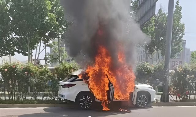 Robotaxi Pony.ai bốc cháy trong quá trình thử nghiệm