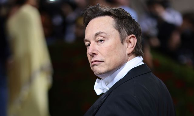 Tỷ phú Elon Musk khuyên người trẻ: Thành công không dành cho người nhát gan, sợ chỉ trích và thích hoài nghi