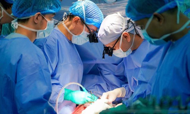 Trái tim từ Hà Nội vượt 1.600km 