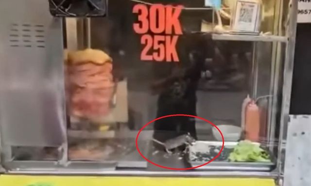 Sốc: Video chuột thản nhiên gặm rau, thịt trong tủ bánh mì ở Hà Nội
