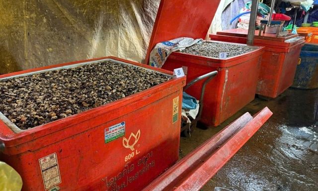 Vụ 500 tấn “thủy tinh lỏng” ngâm ốc bươu: Người ăn có thể bị tổn thương như… bỏng hóa học