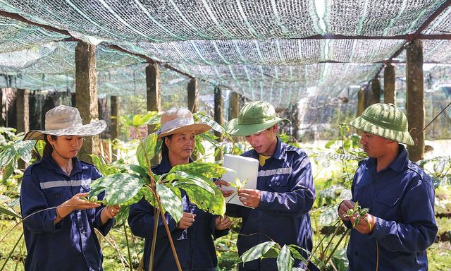 Kho báu vô tận tại Việt Nam đang khiến thế giới 
