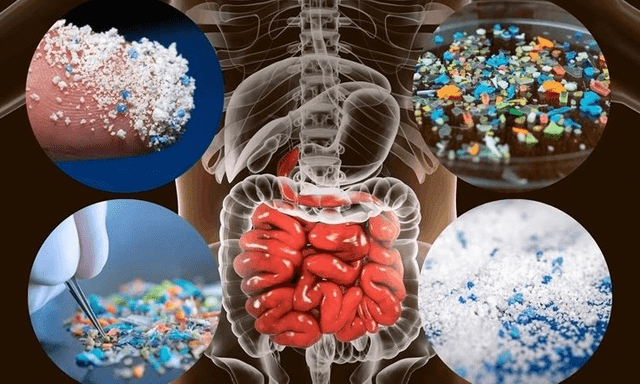 Vật này trong nhà là 