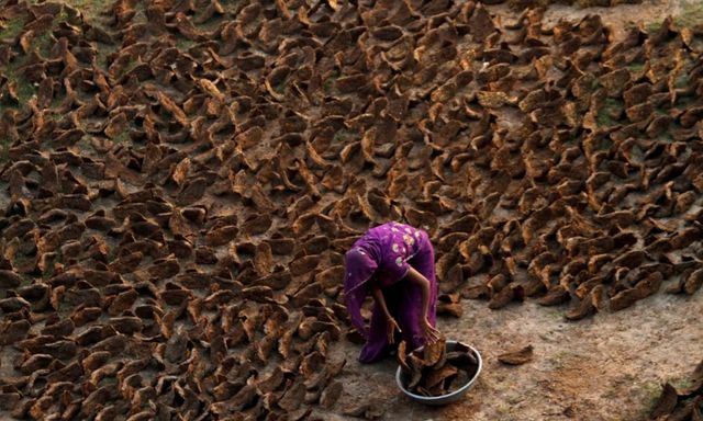 Cảnh tượng chưa từng thấy ở Ấn Độ: Khắp đường phố 