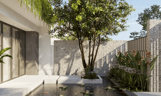 4 loại cây may mắn nên trồng trước sân nhà, gia đình không giàu sang cũng trở nên quyền quý