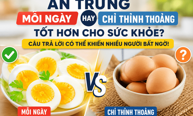 Ăn trứng mỗi ngày hay chỉ ăn thỉnh thoảng tốt hơn? Câu trả lời có thể khiến nhiều người bất ngờ